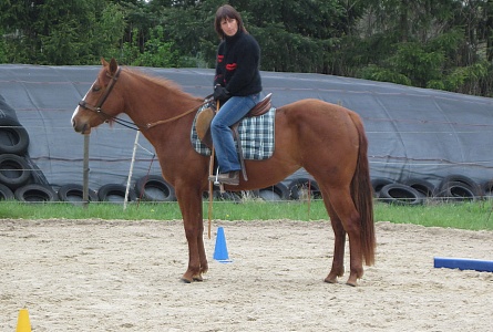 Glory2010